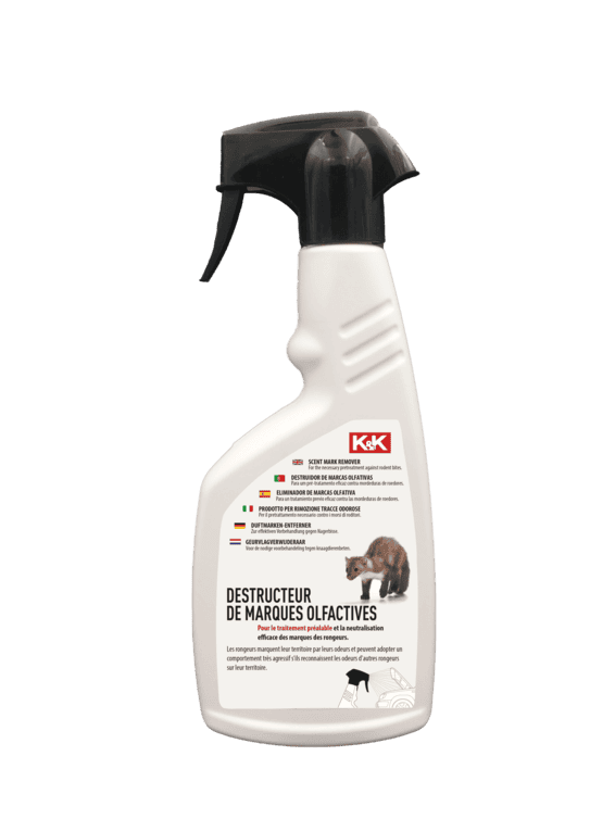 000300-FB_freigestellt_klein